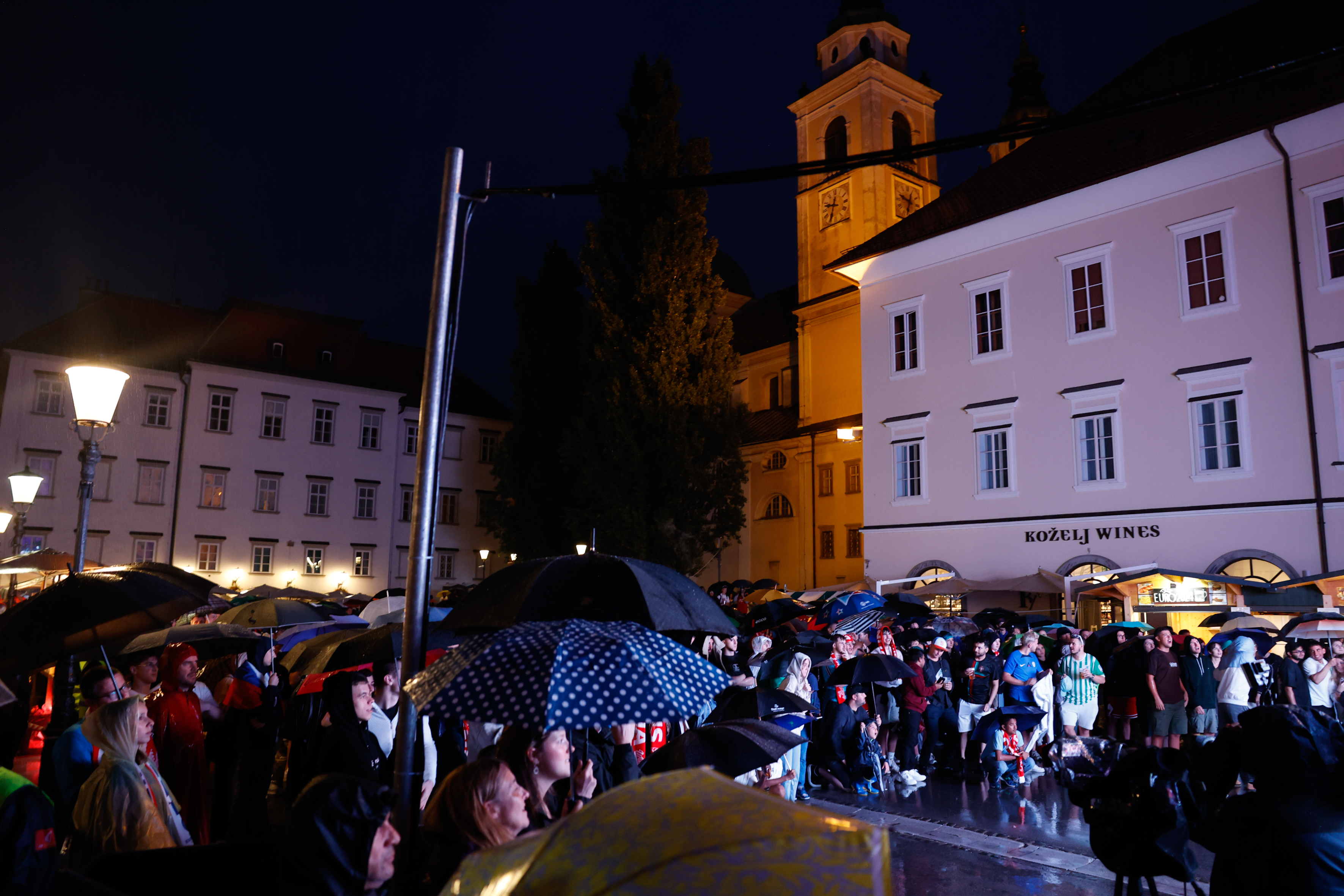 Foto: Nik Rovan /Bobo