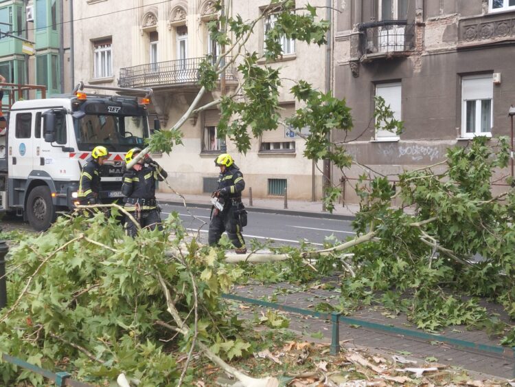 Posledice neurja v Zagrebu (Foto: N1 Zagreb)