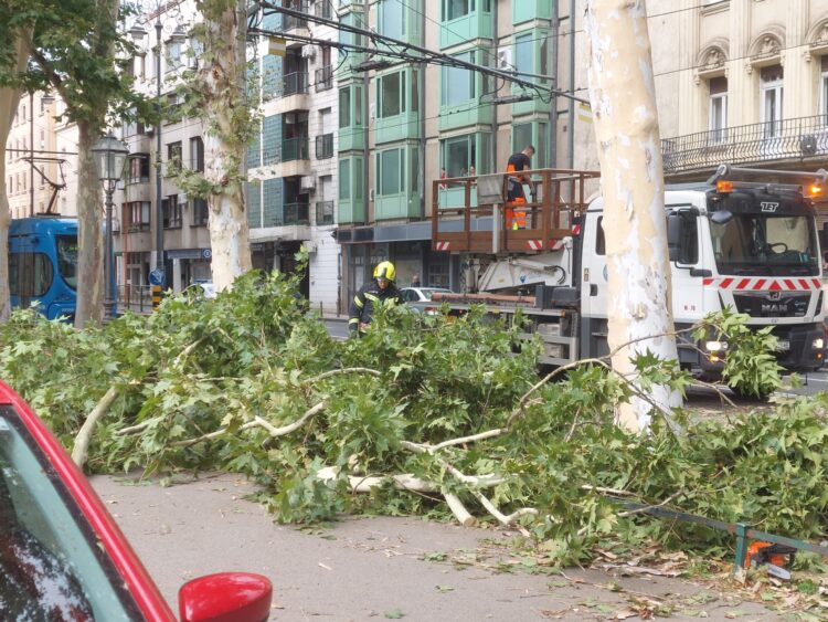 Posledice neurja v Zagrebu (Foto: N1 Zagreb)