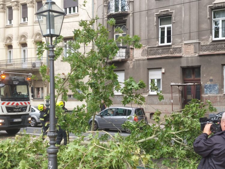 neurje, zagreb, hrvaška