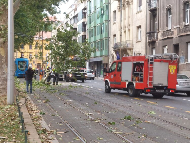 neurje, zagreb, hrvaška