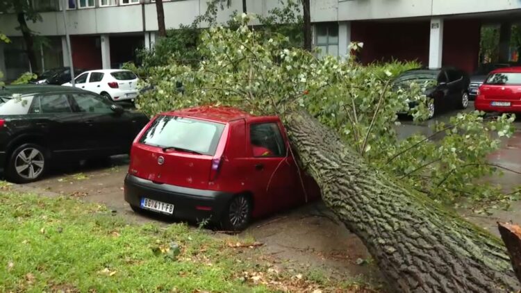 Neurje, naliv, nevihta, Beograd