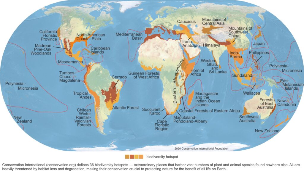 1720180206-Biodiversity-Hotspots_Labelled_2016_1-1024x578.jpg