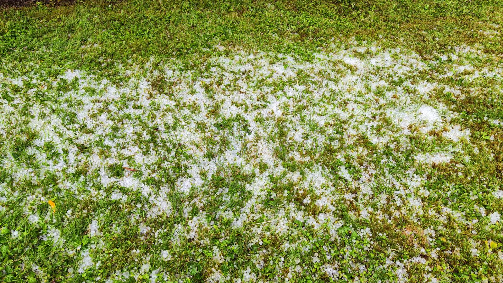 Okolica Radeč (Foto: N1)