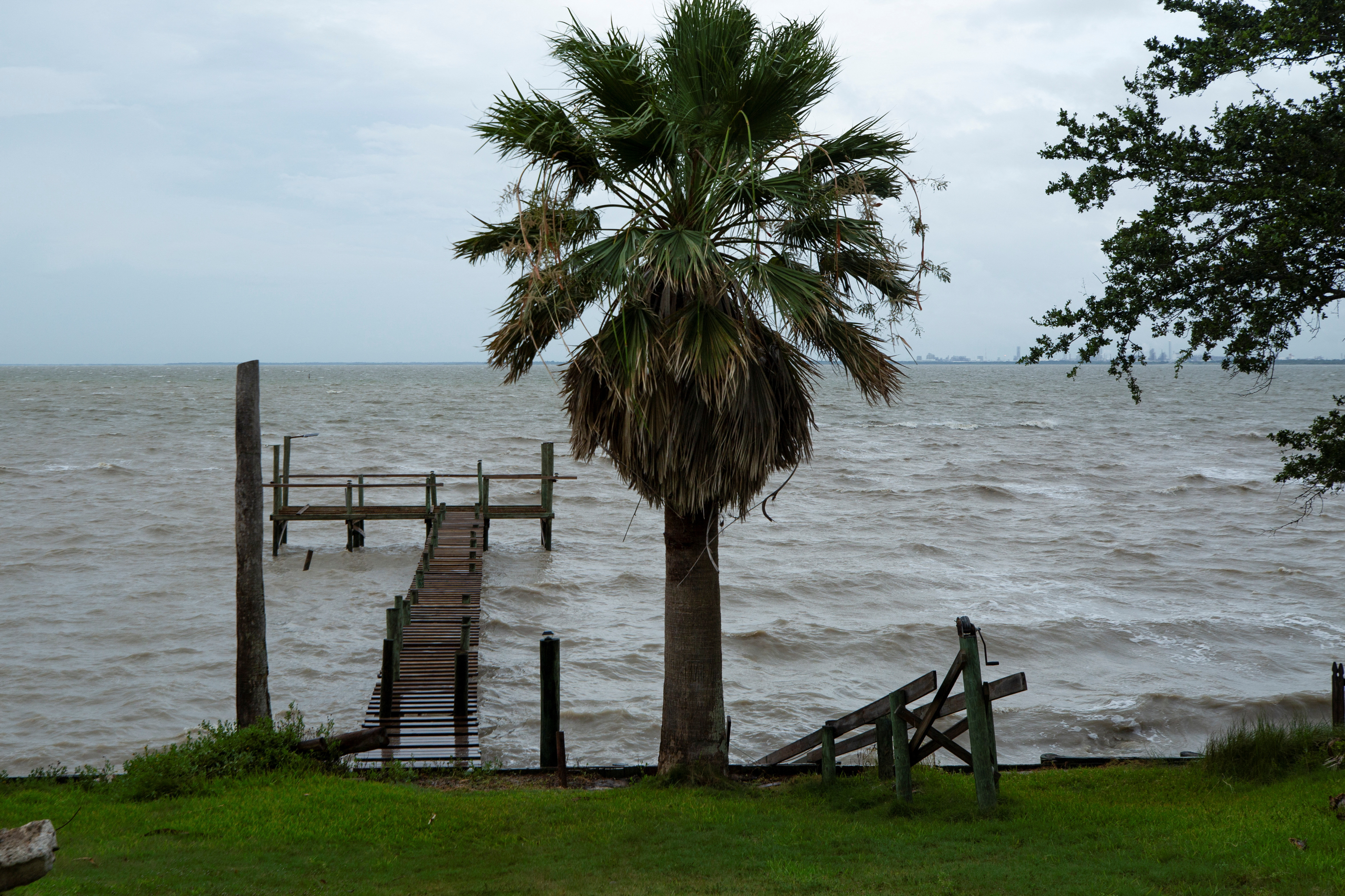 Foto: Kaylee Greenlee Beal/REUTERS