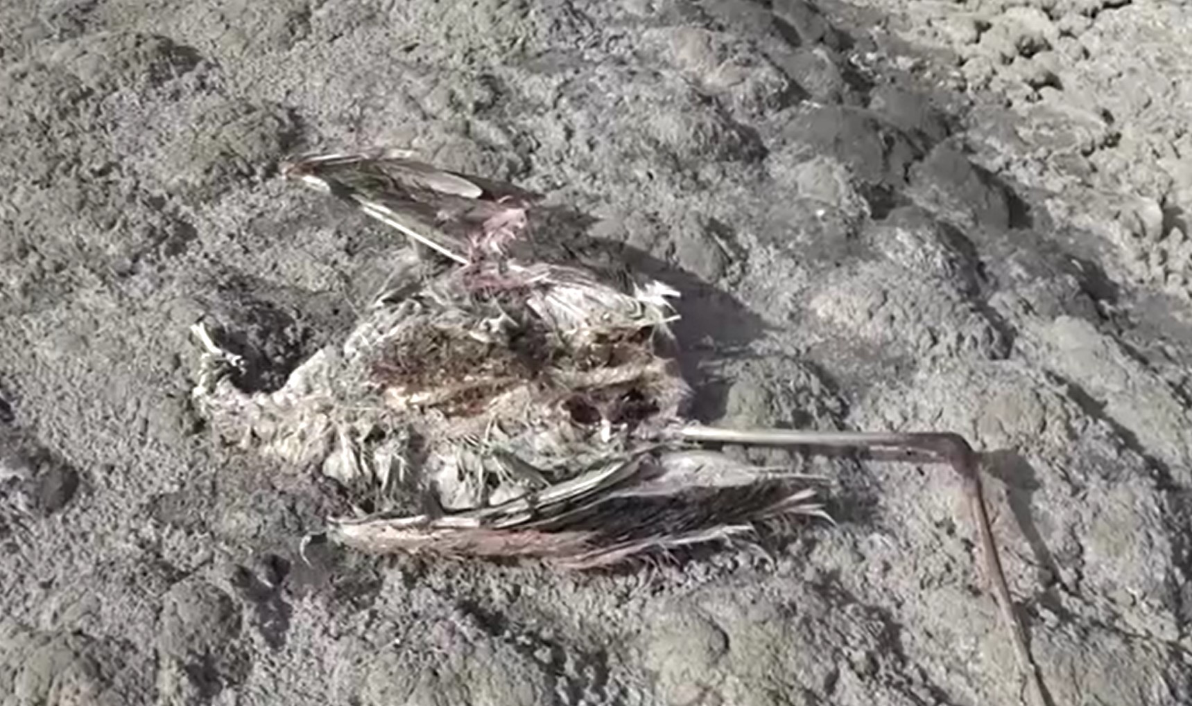 Jezero Pergusa, Sicilija, Italija