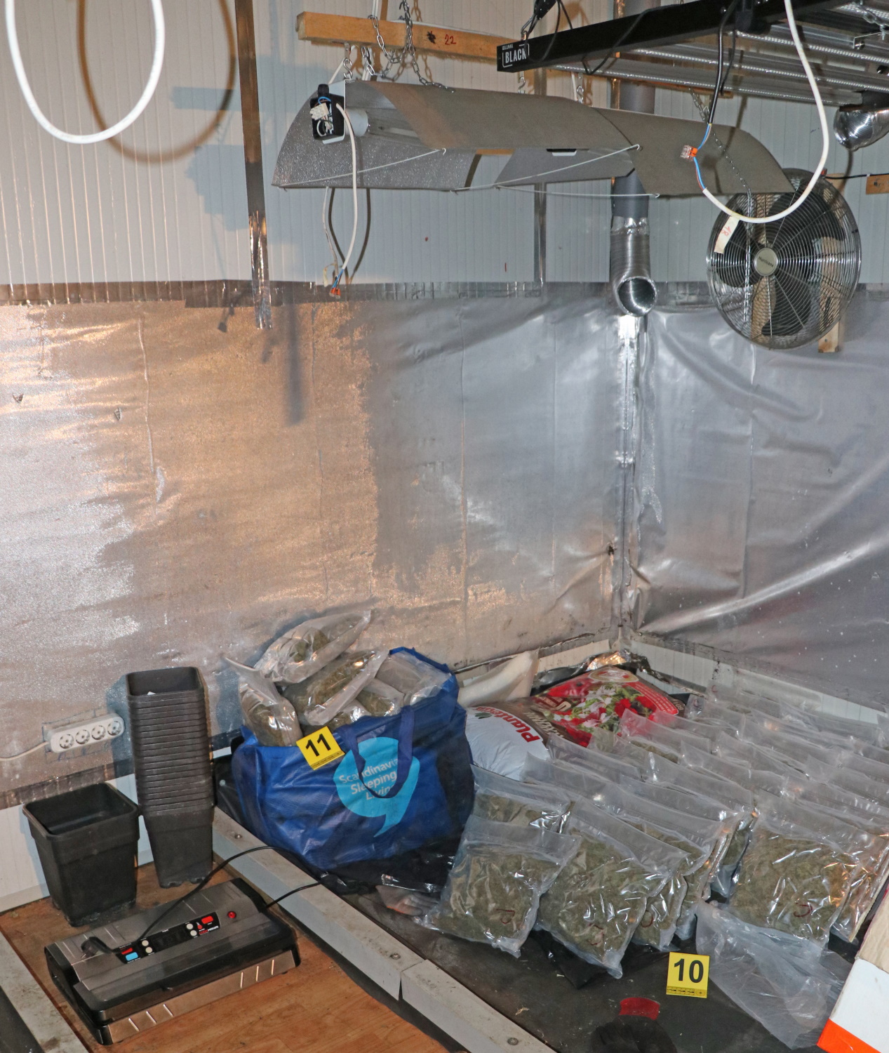 konoplja, idrijsko, prepovedana droga