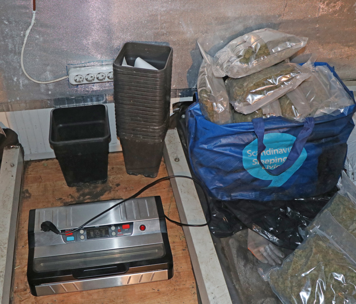 konoplja, idrijsko, prepovedana droga