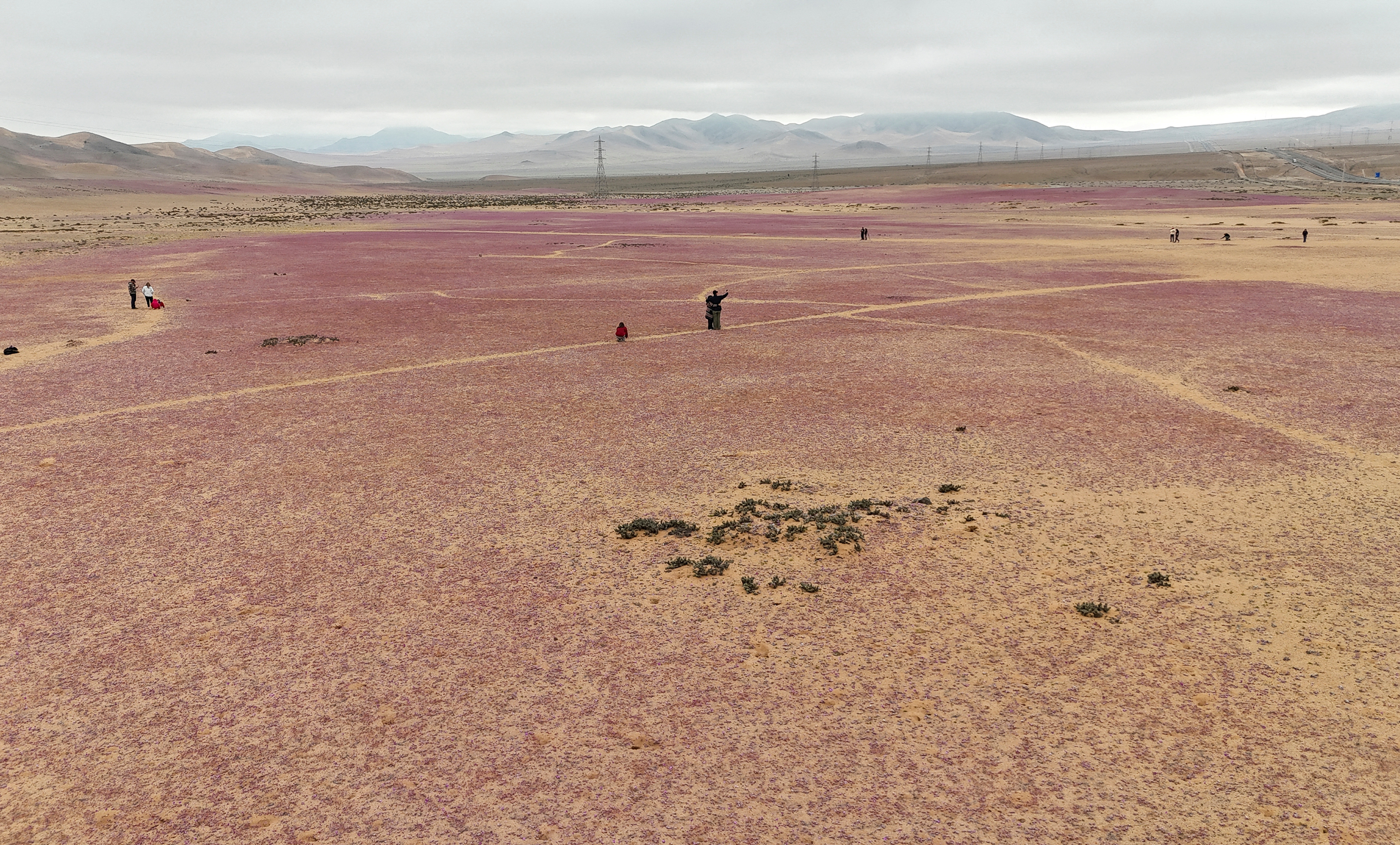 Foto: Rodrigo Gutierrez/REUTERS