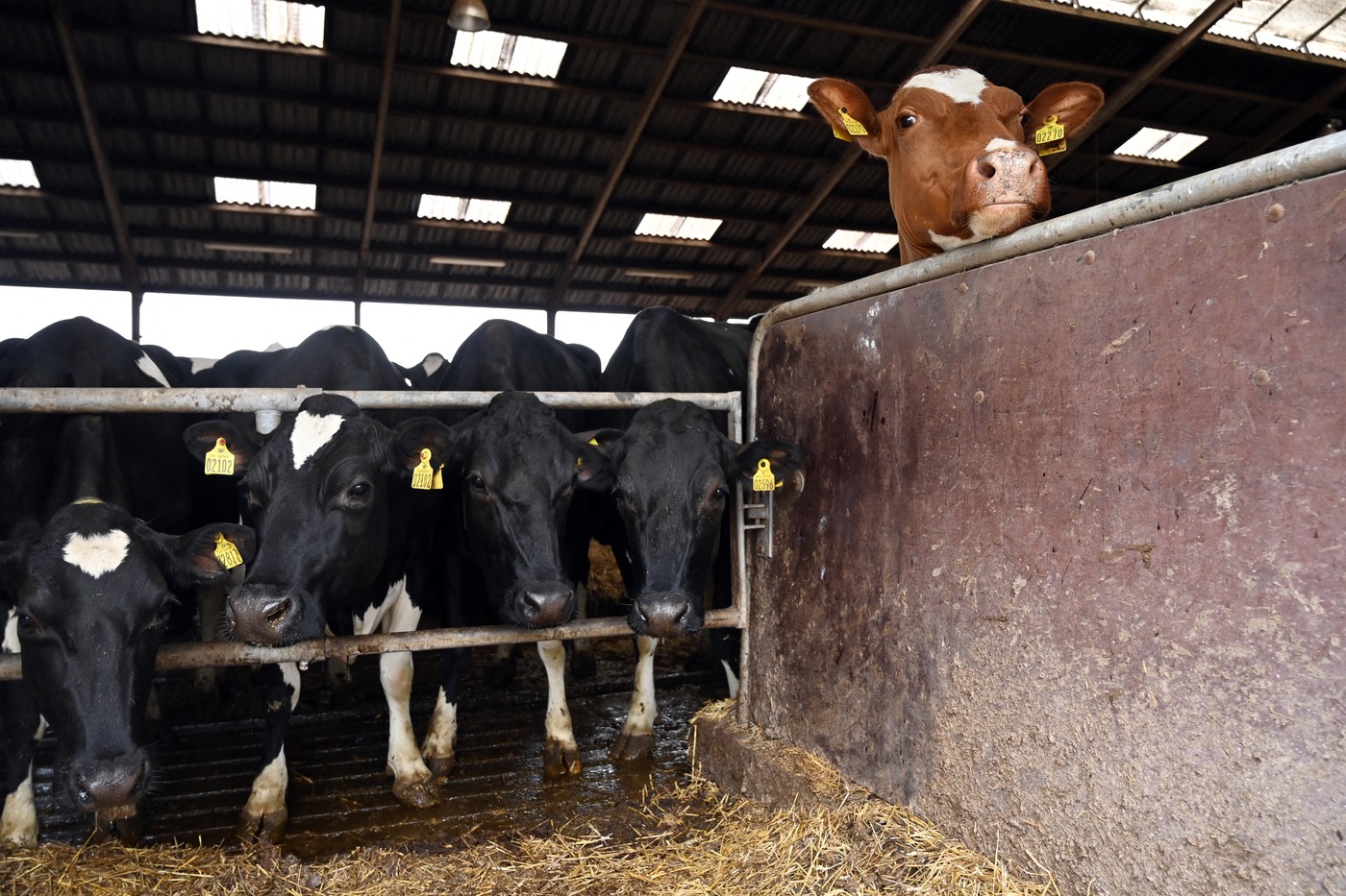 profimedia-0769843275