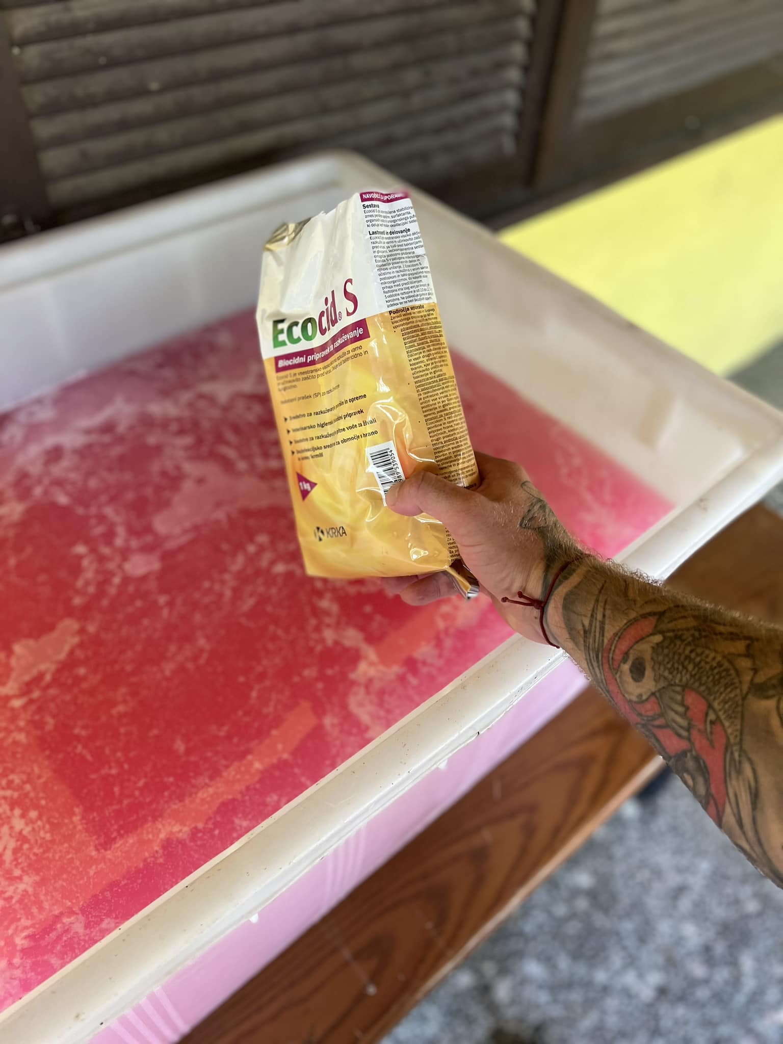 ribe, virus Koi herpes