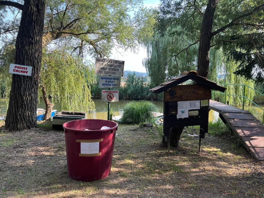 ribe, virus Koi herpes