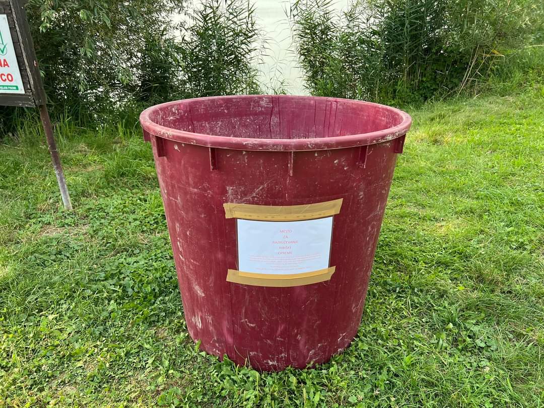 ribe, virus Koi herpes