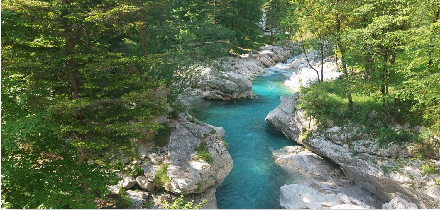 Majska iskalna akcija na Bovškem (Foto: PU Nova Gorica)