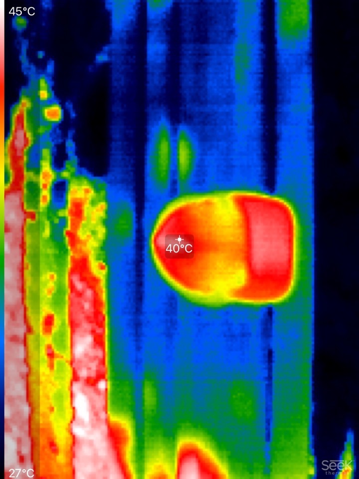 termokamera, Ljubljana, vročina
