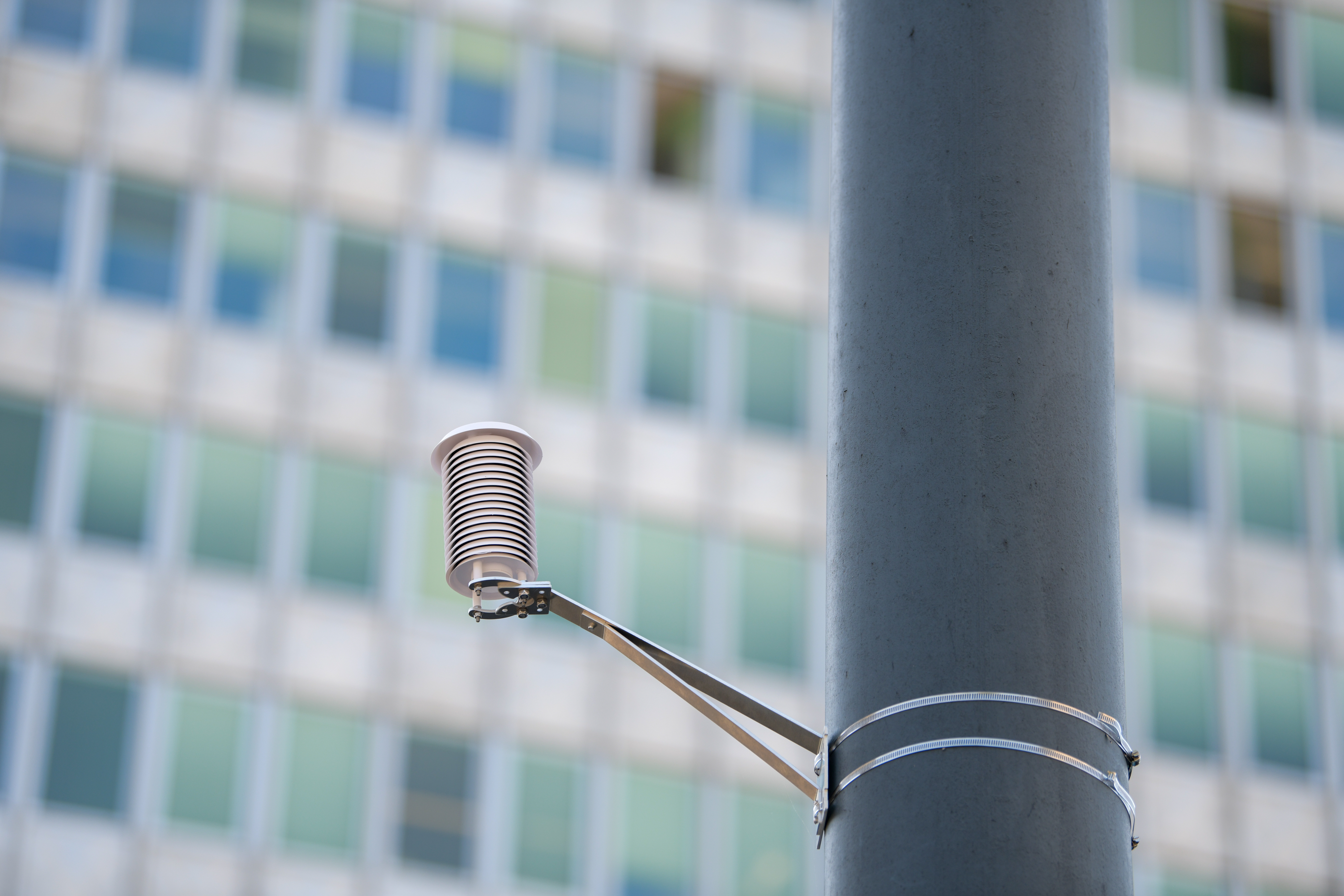 Foto: Denis Sadiković/N1