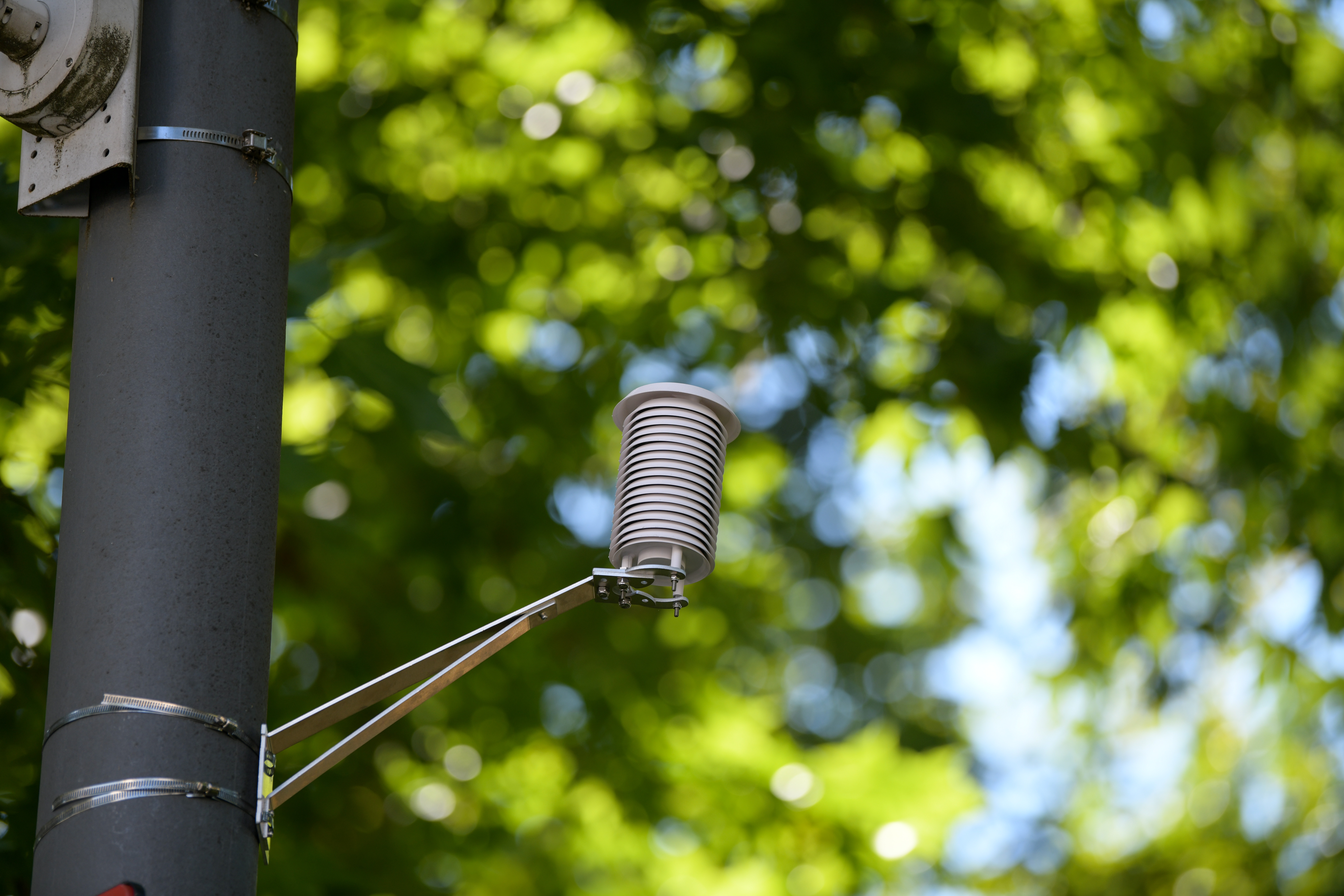 Foto: Denis Sadiković/N1