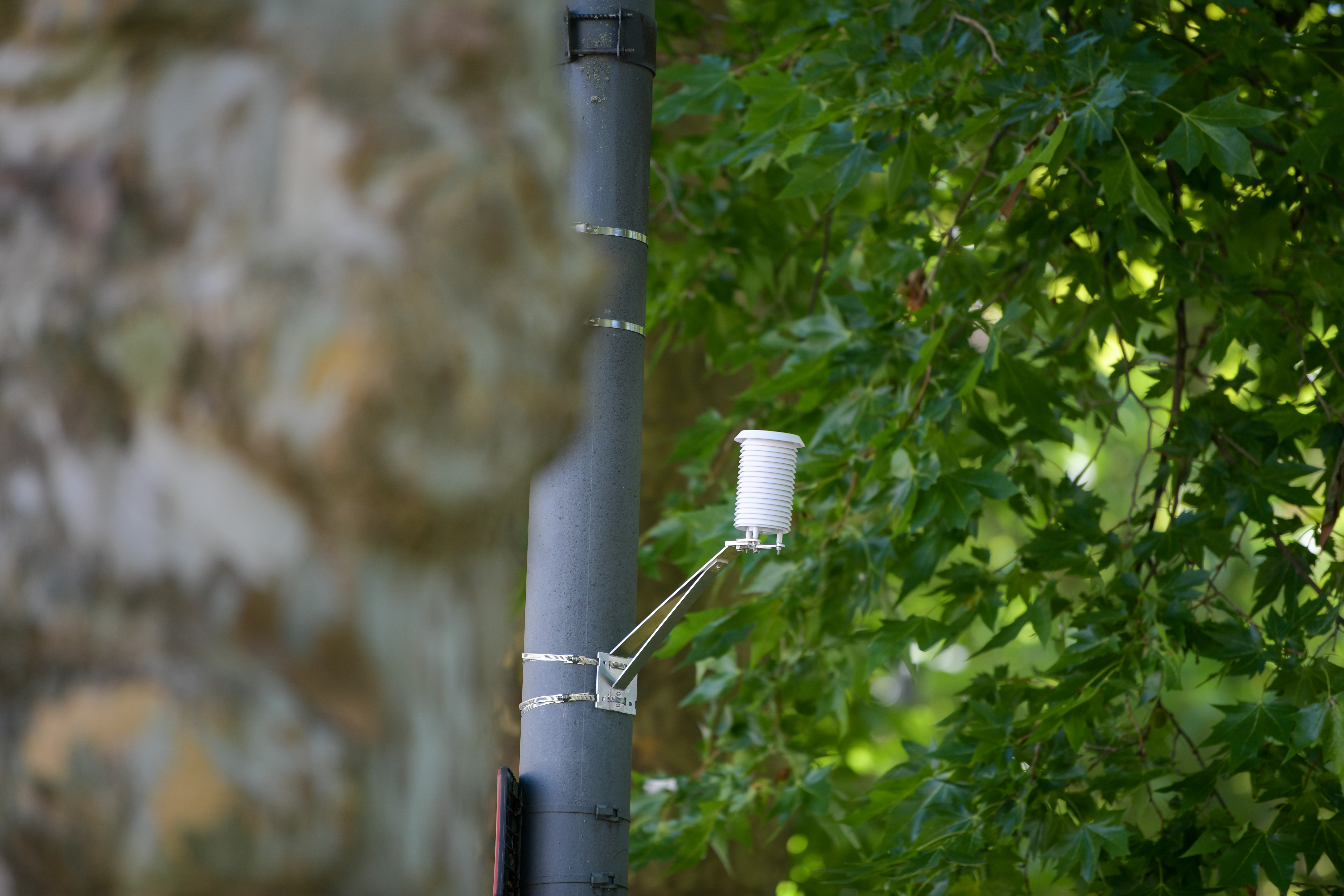 Foto: Denis Sadiković/N1