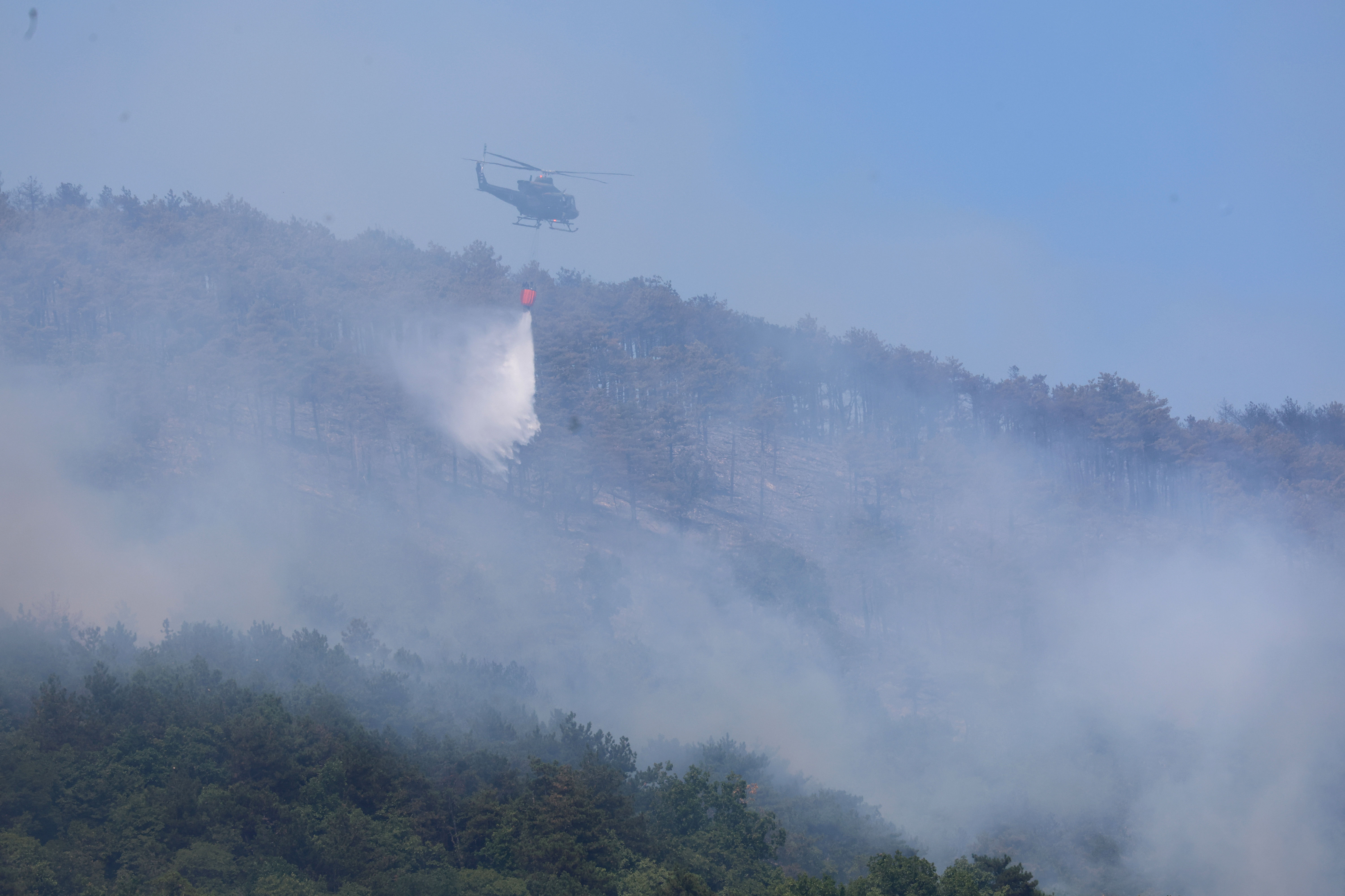 Foto: Borut Živulović/BOBO