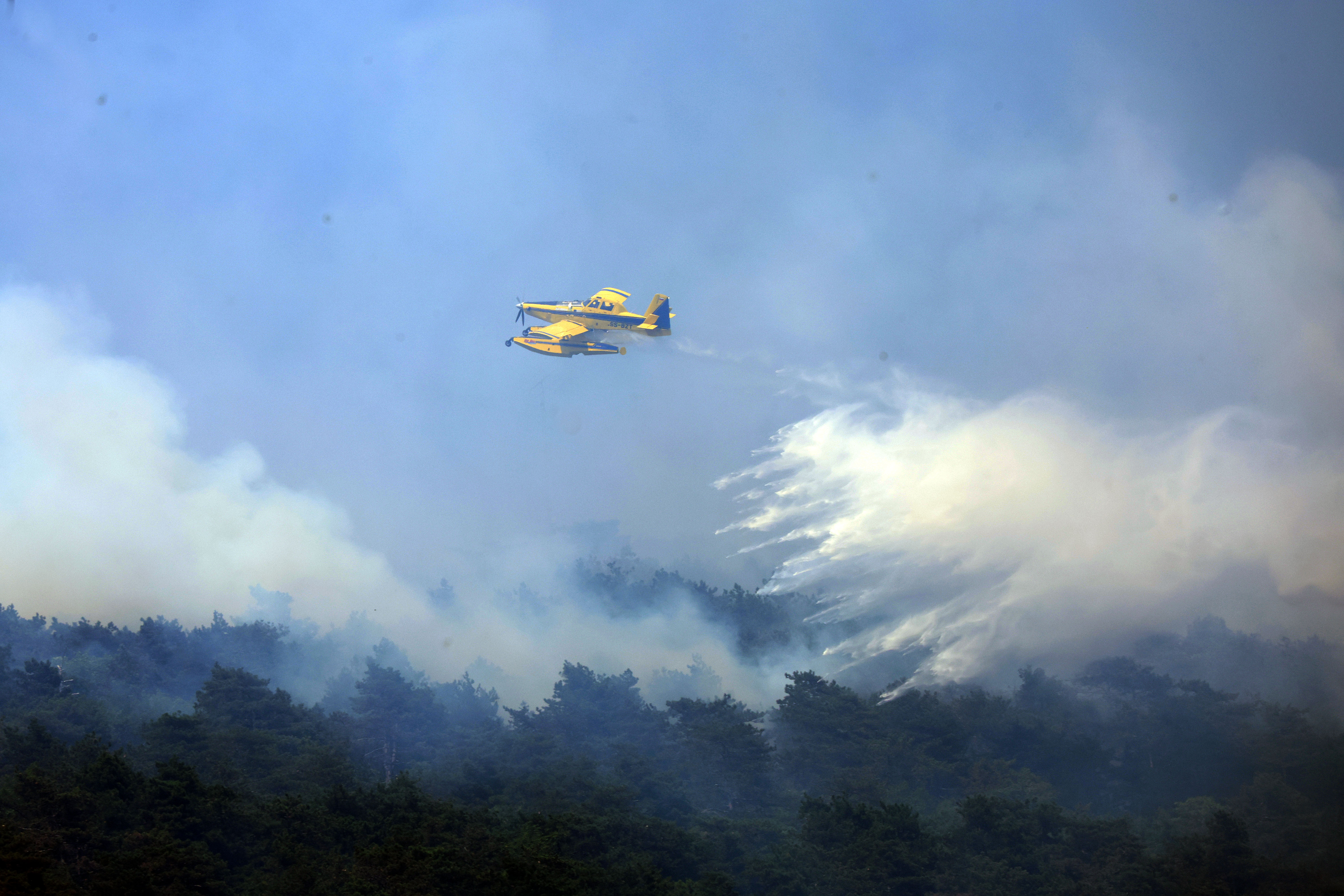 Foto: Borut Živulović/BOBO