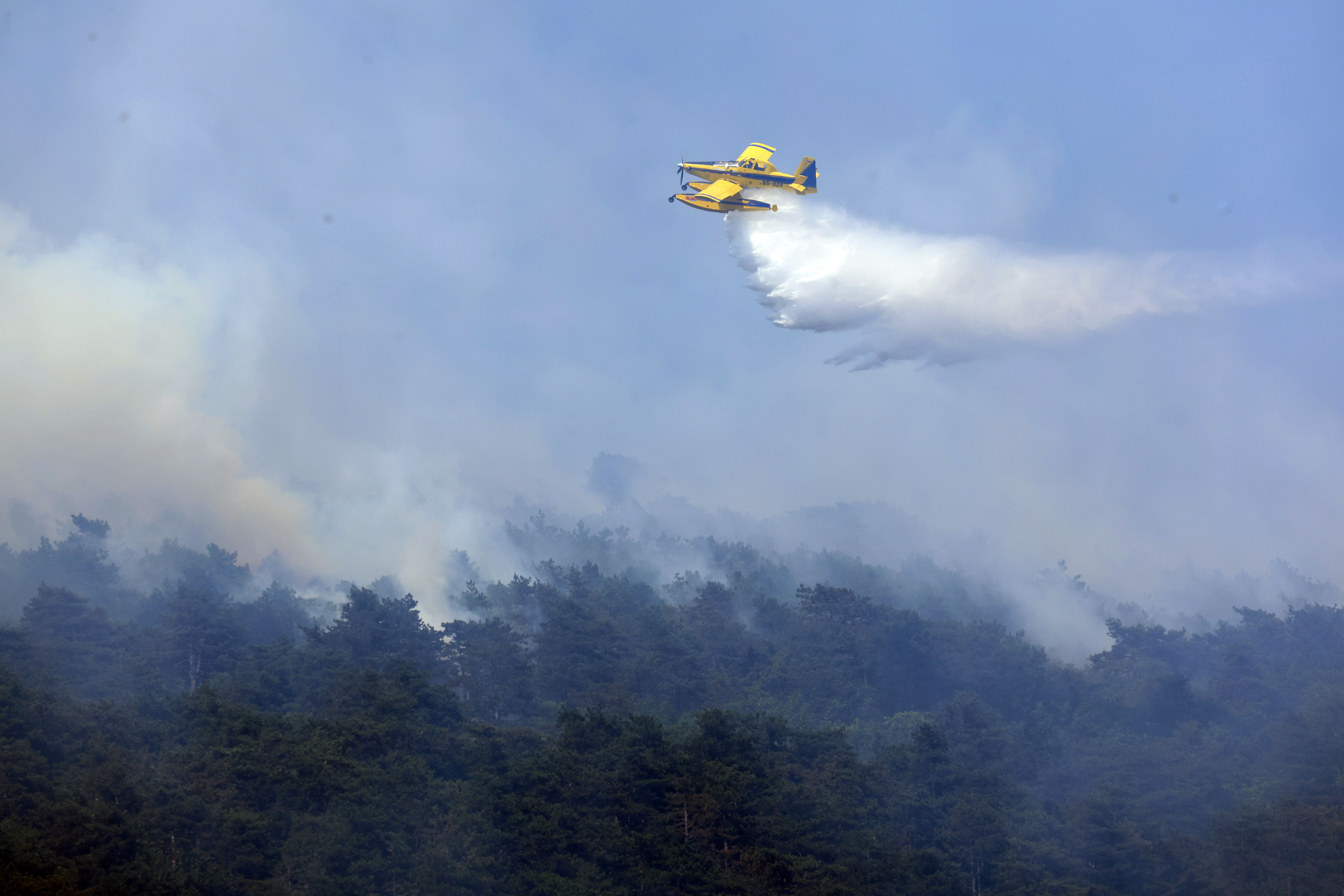 Foto: Borut Živulović/BOBO