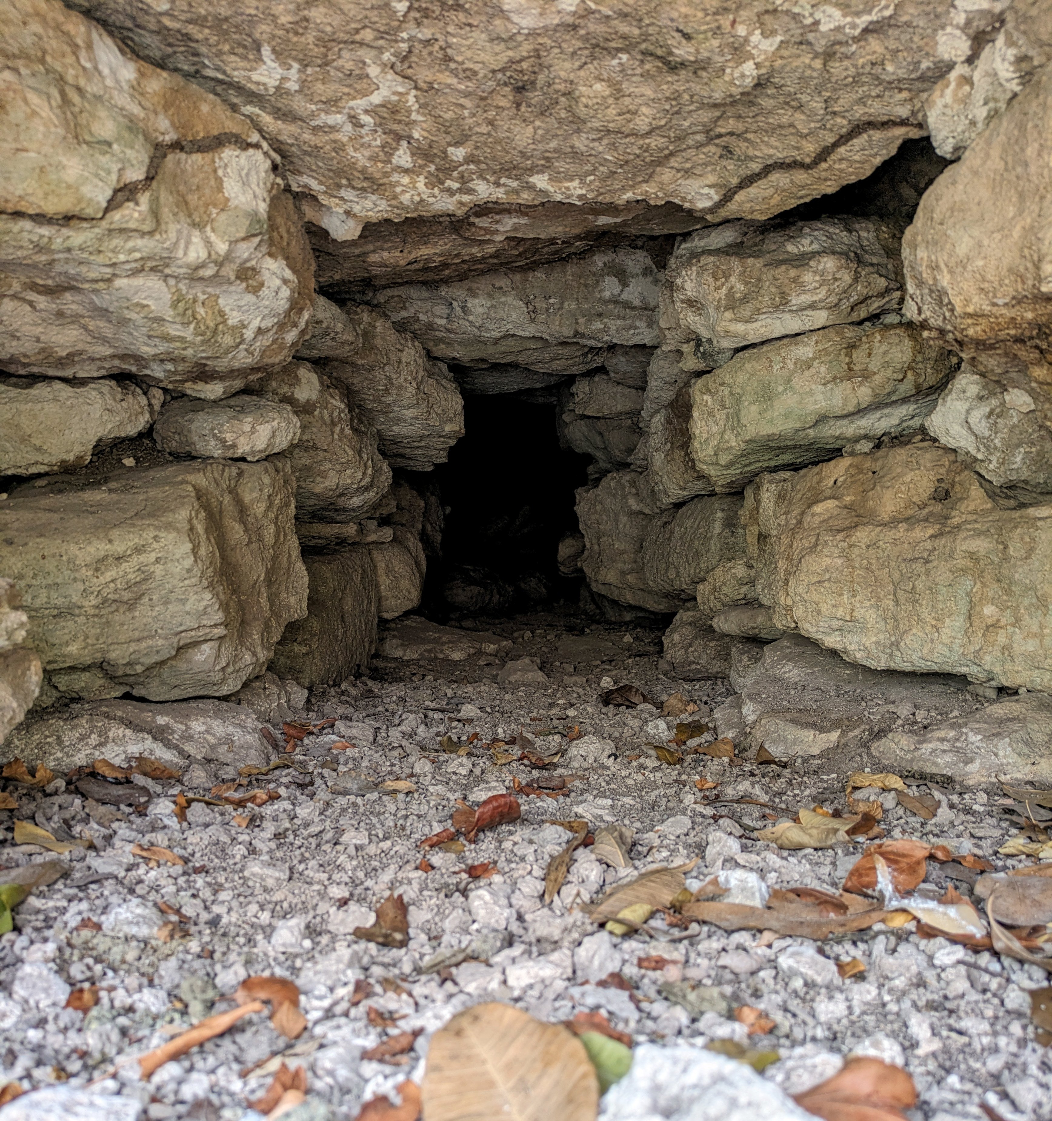 Pogled v notranjost odtočnega tunela (Foto: Vitan Vujanović, Univerza v Bonnu/arhiv Ivana Šprajca)