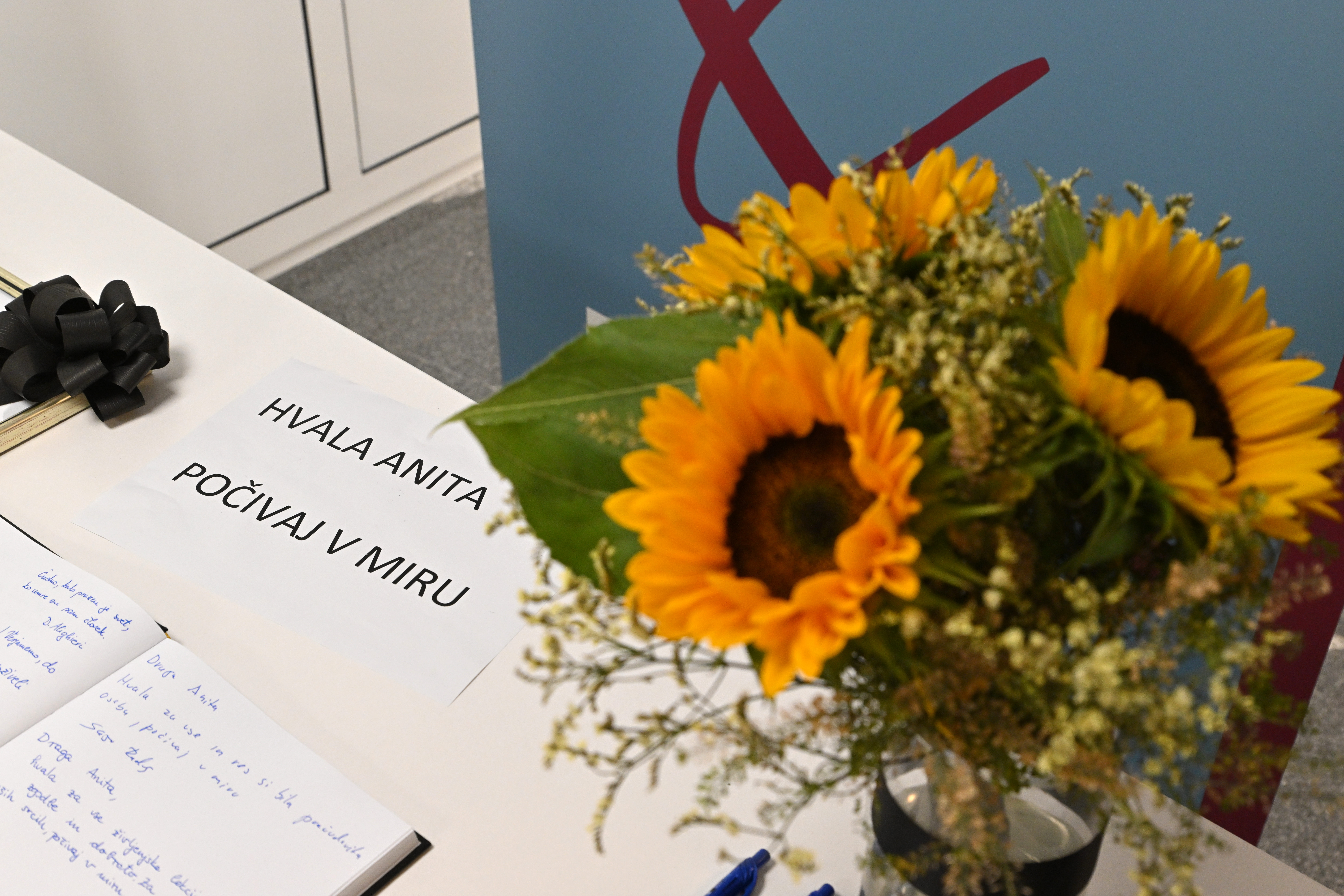 Foto: Žiga Živulović jr./BOBO