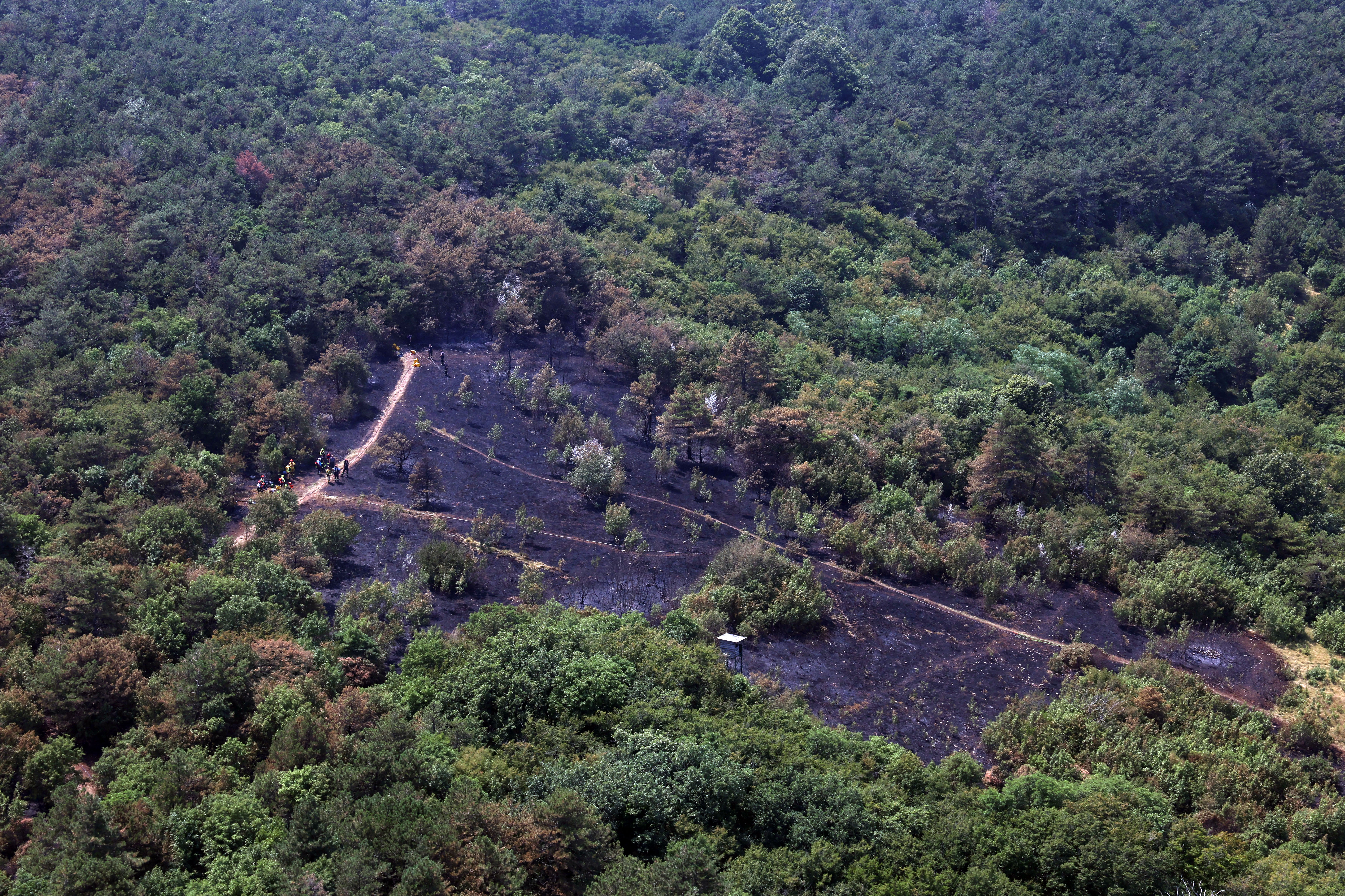 Foto: Borut Živulović/BOBO