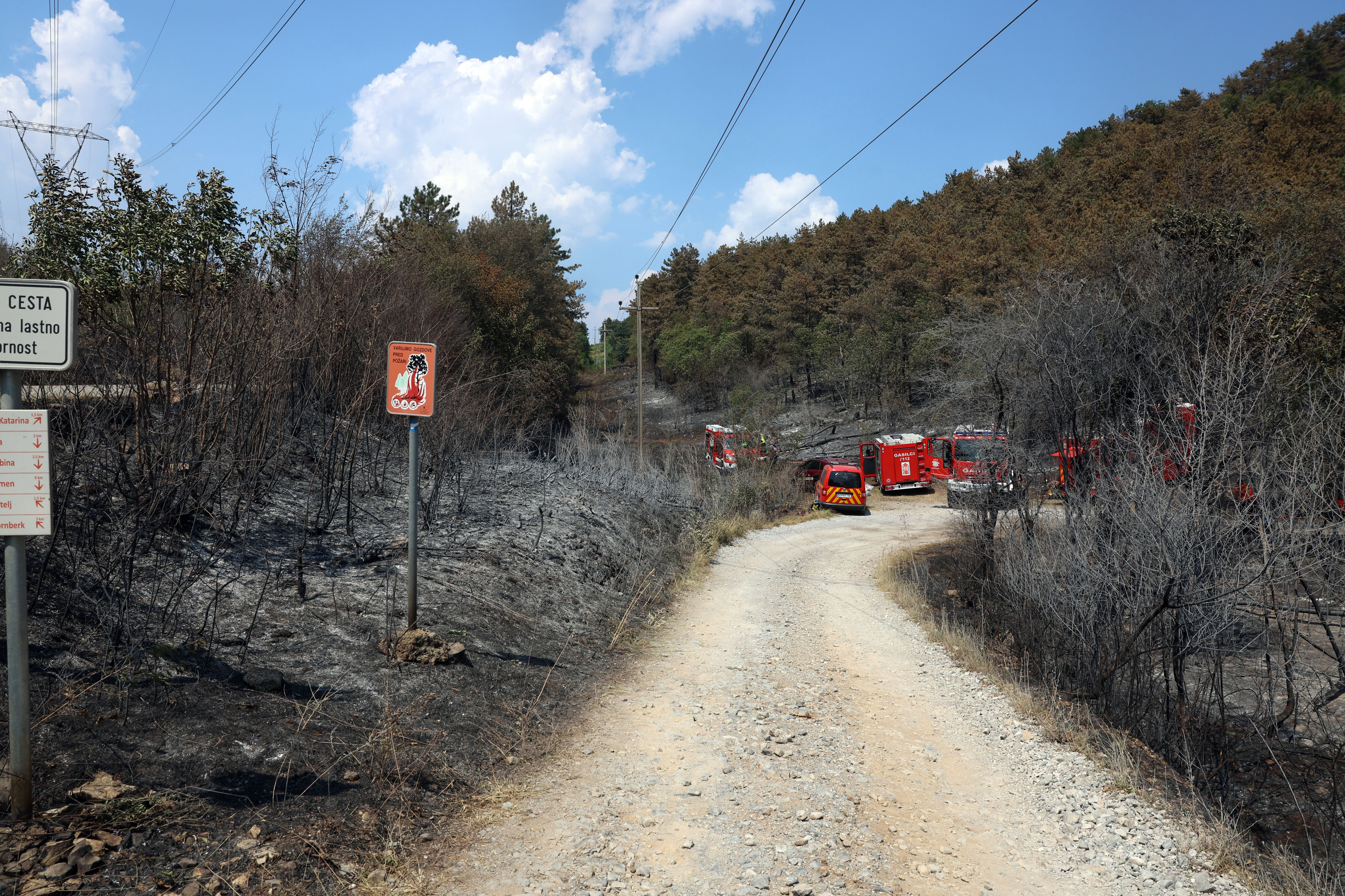 Foto: Borut Živulović/BOBO
