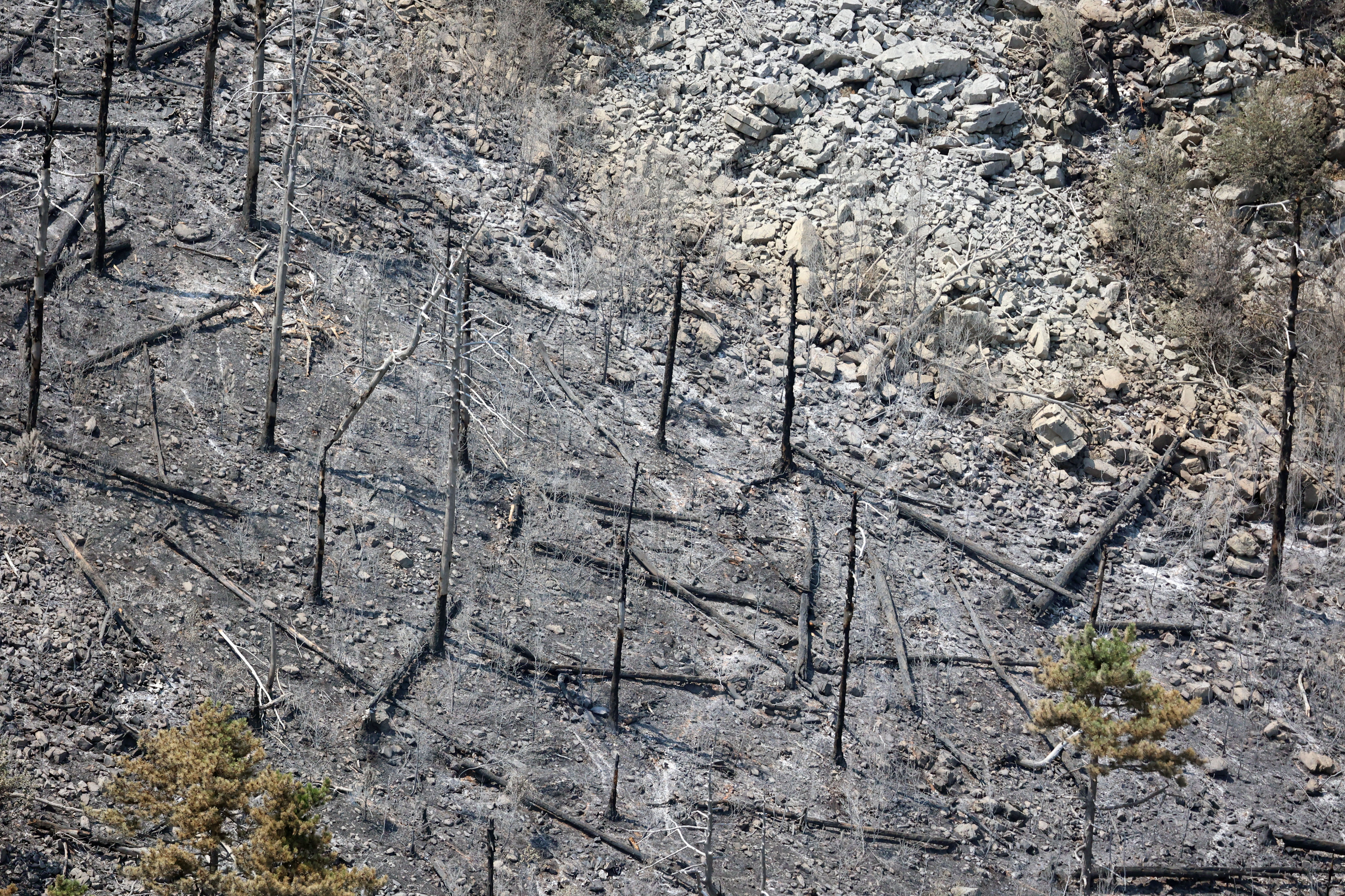 Foto: Borut Živulović/BOBO