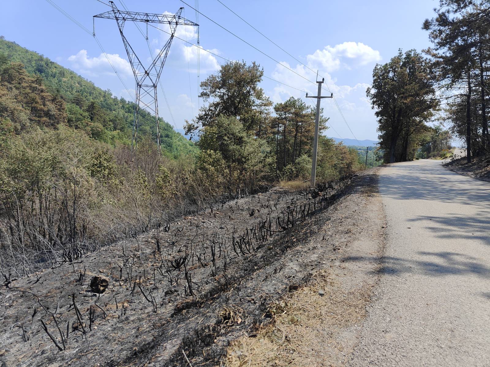 Foto: Jakob Murovec/N1