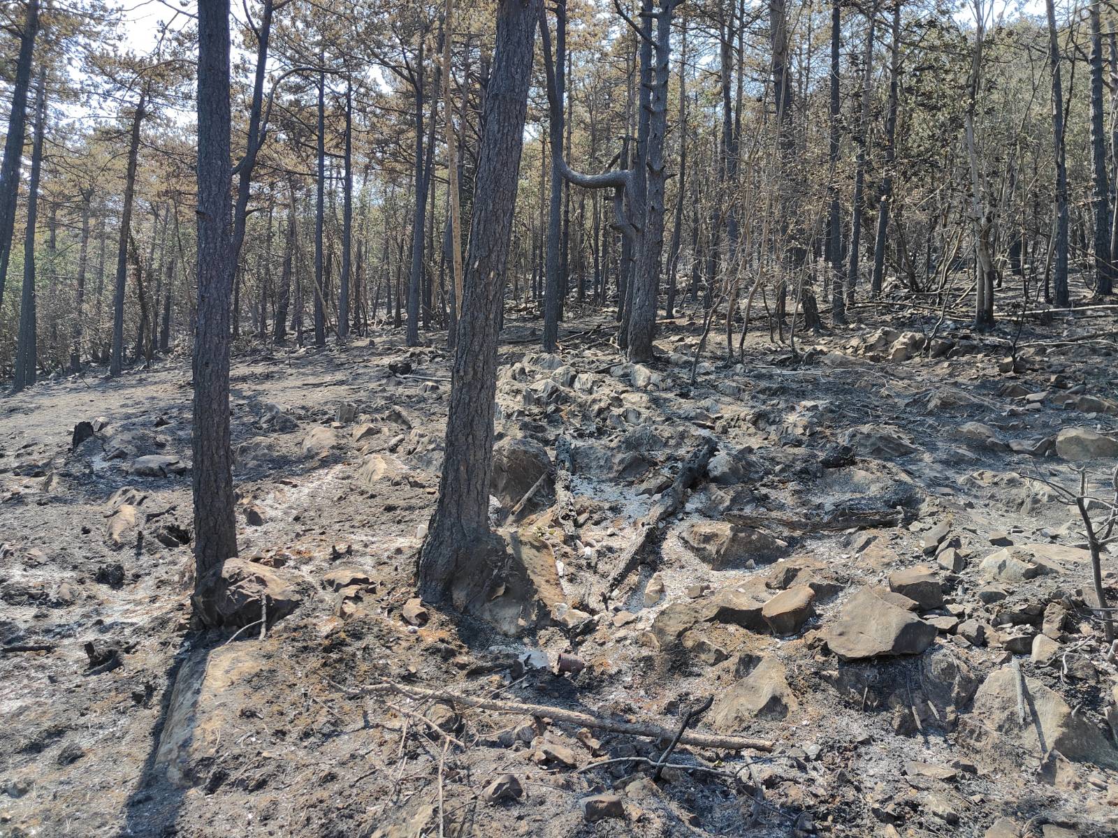 Foto: Jakob Murovec/N1