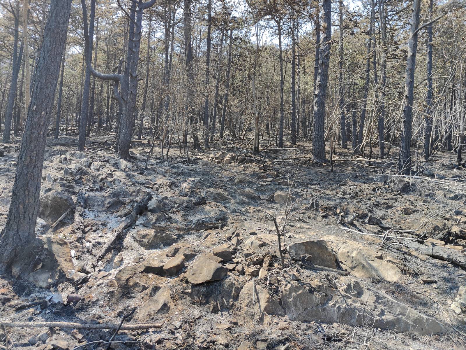 Foto: Jakob Murovec/N1