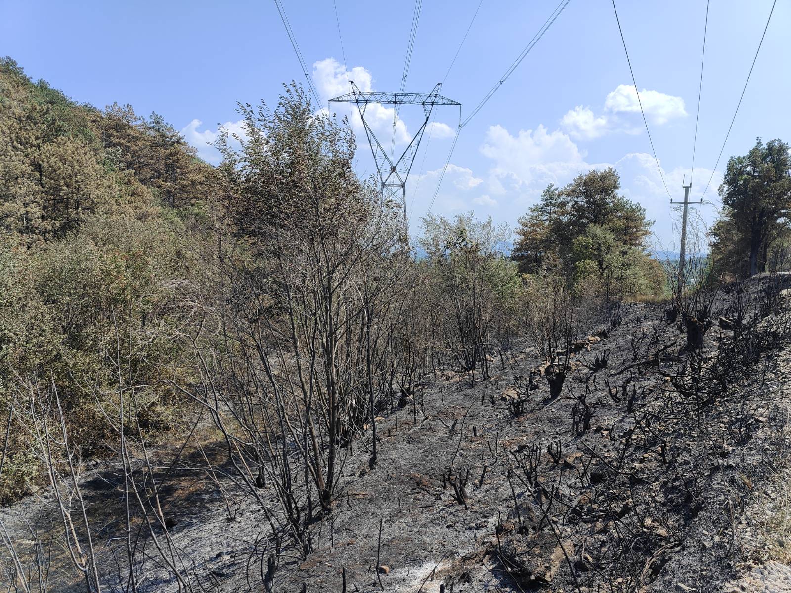 Foto: Jakob Murovec/N1