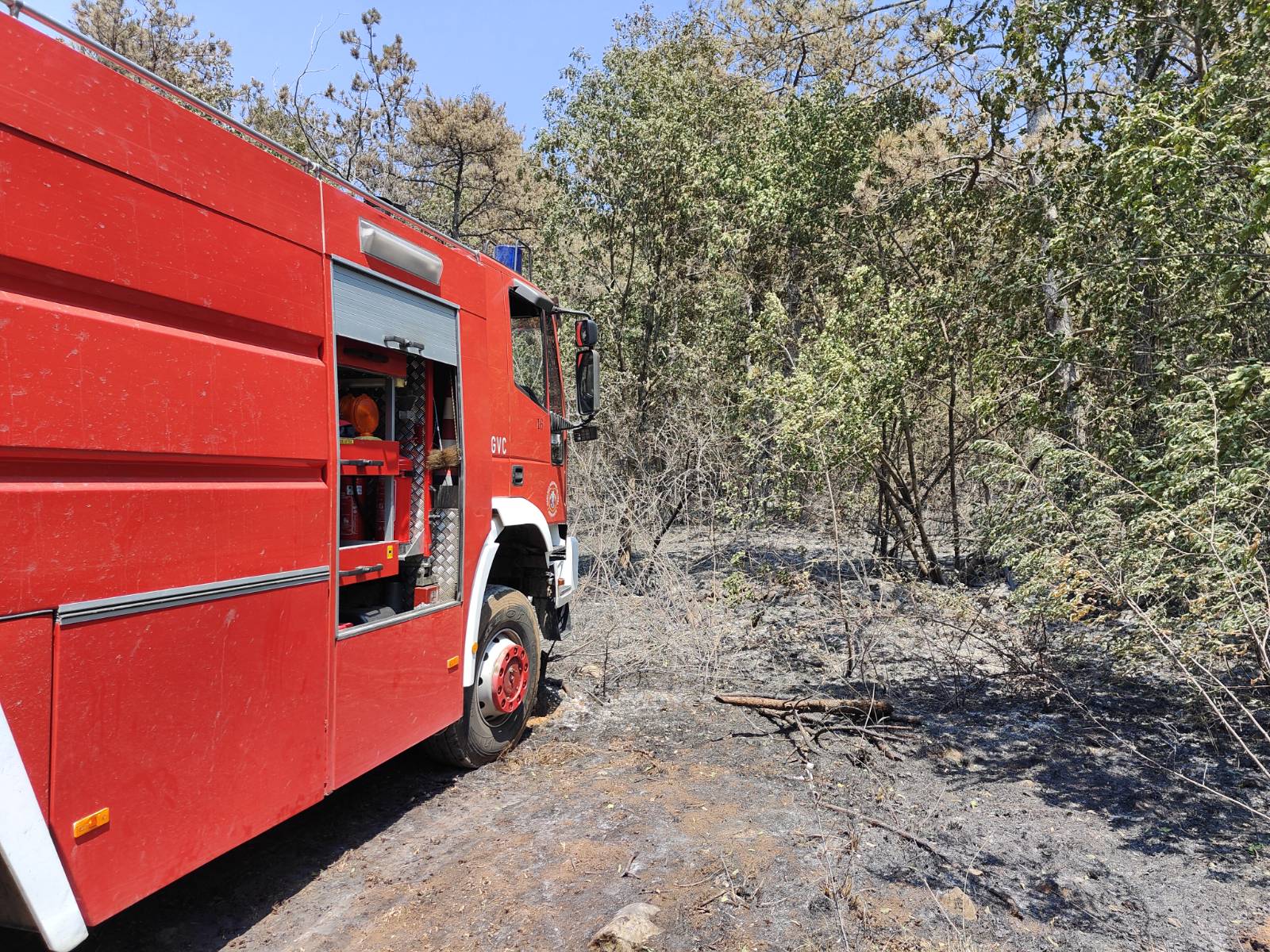 Foto: Jakob Murovec/N1