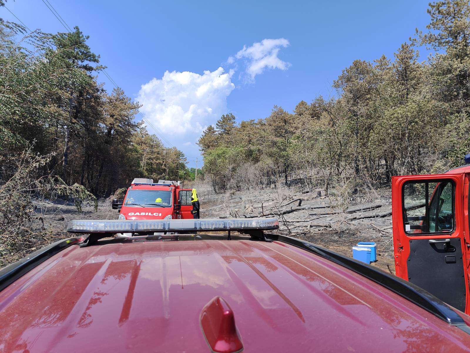 Foto: Jakob Murovec/N1