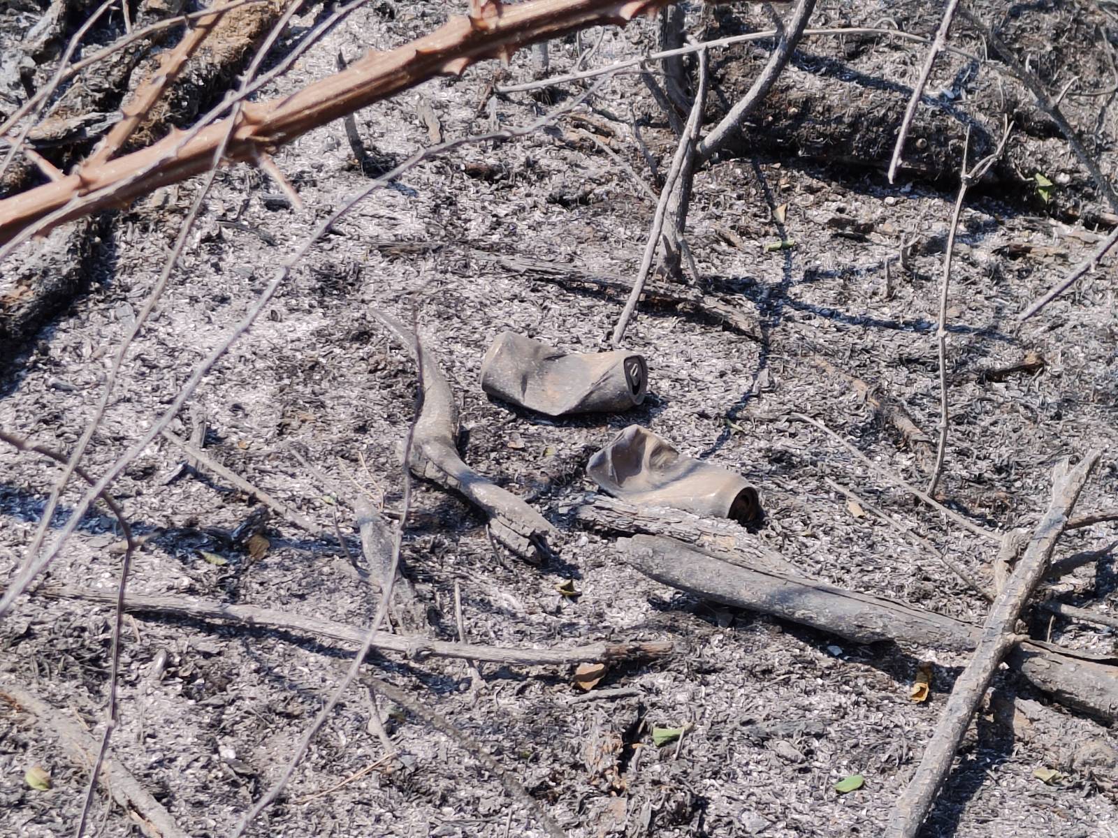 Foto: Jakob Murovec/N1