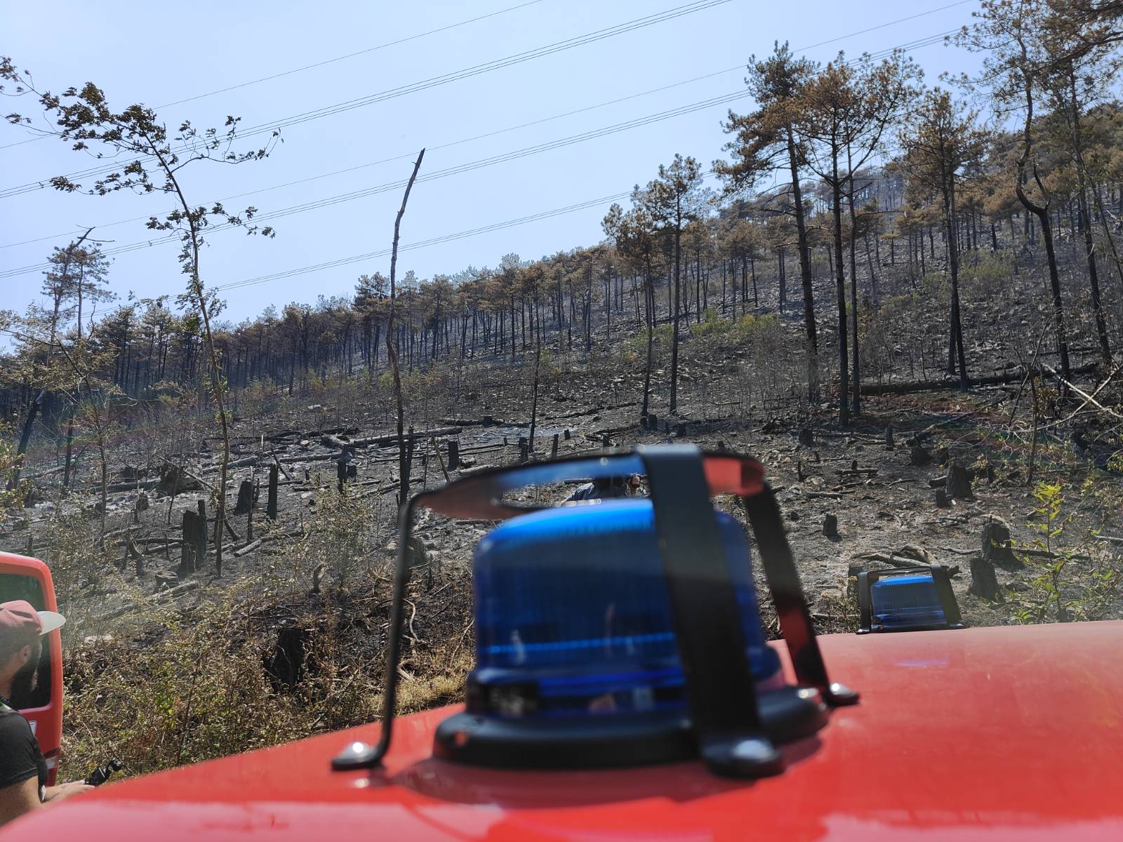 Požar na Trstelju julija 2024 (Foto: Jakob Murovec/N1)