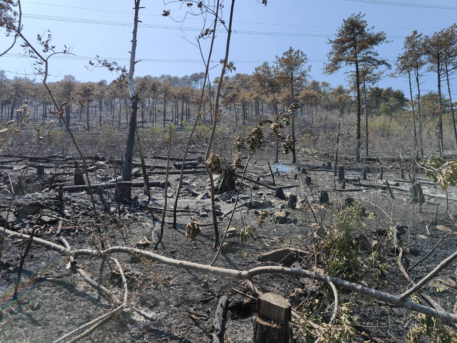 Foto: Jakob Murovec/N1