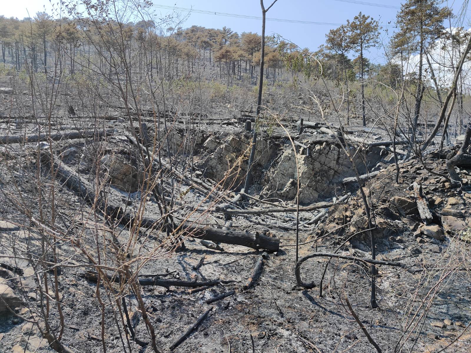 Foto: Jakob Murovec/N1