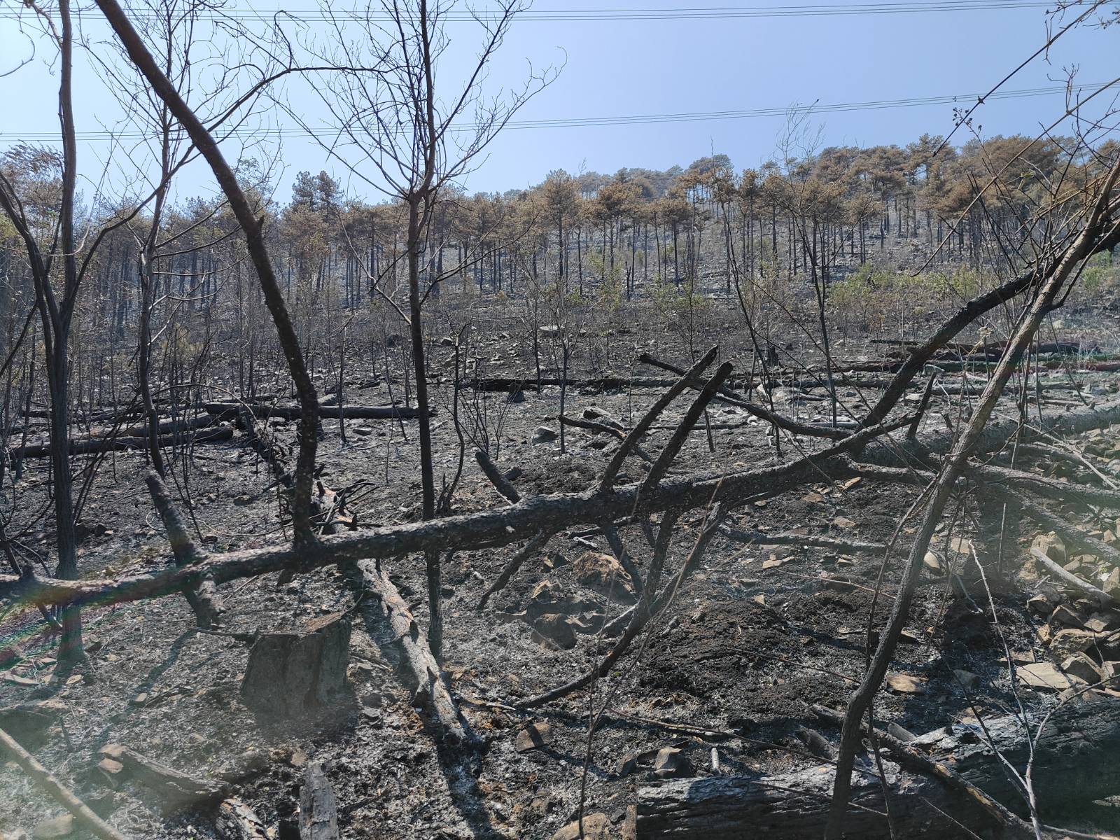 Foto: Jakob Murovec/N1