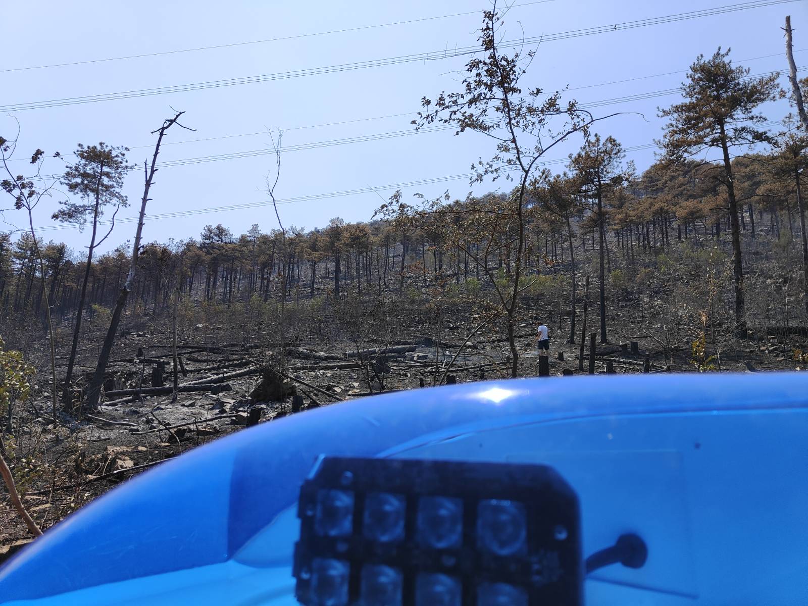 Požar na Krasu 2024