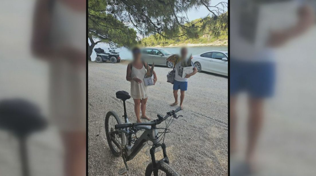 Turista med krajo školjk