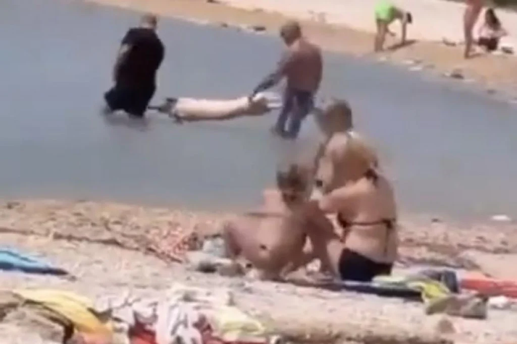 prašič, plaža, morje