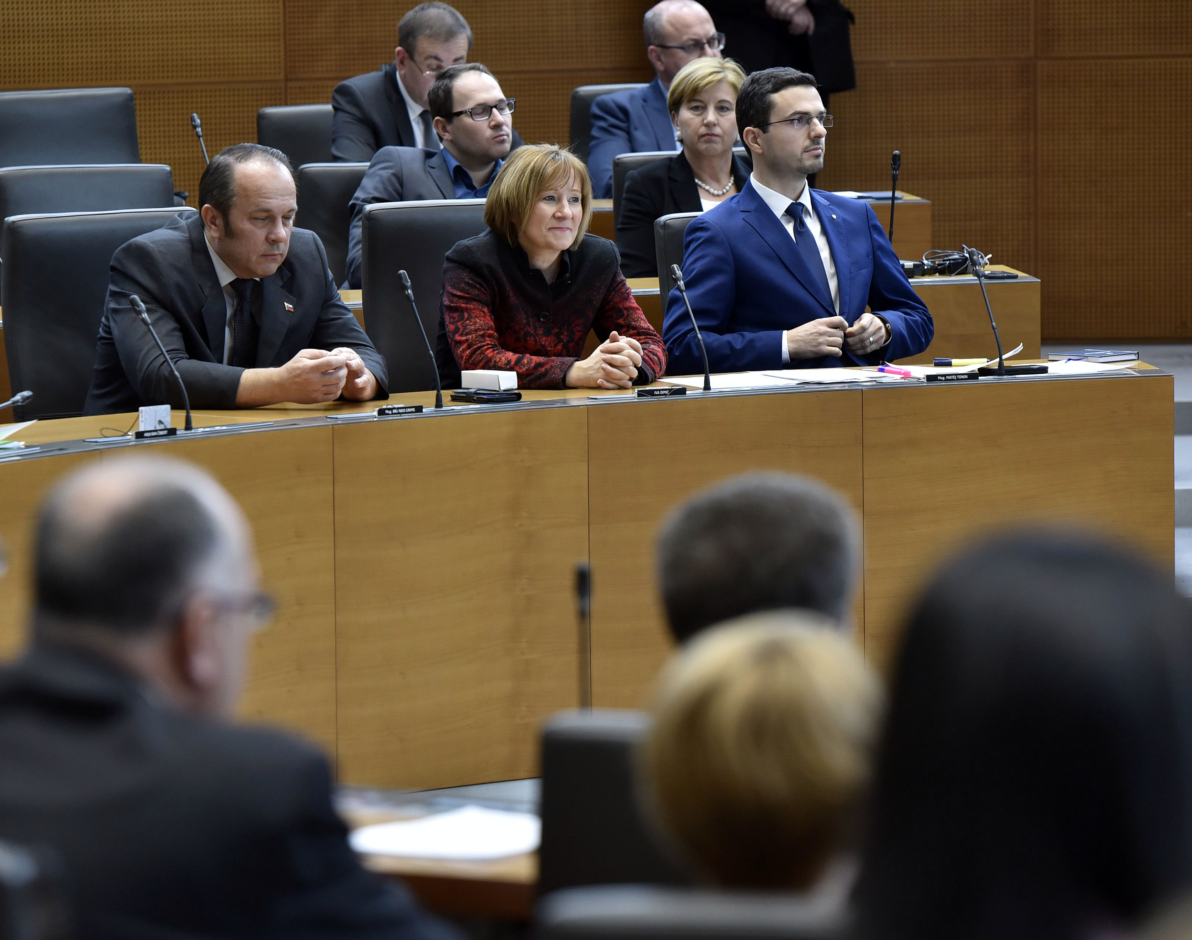 matej tonin, branko grims