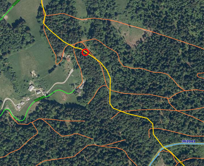 sečnja, Lovrenc na Pohorju