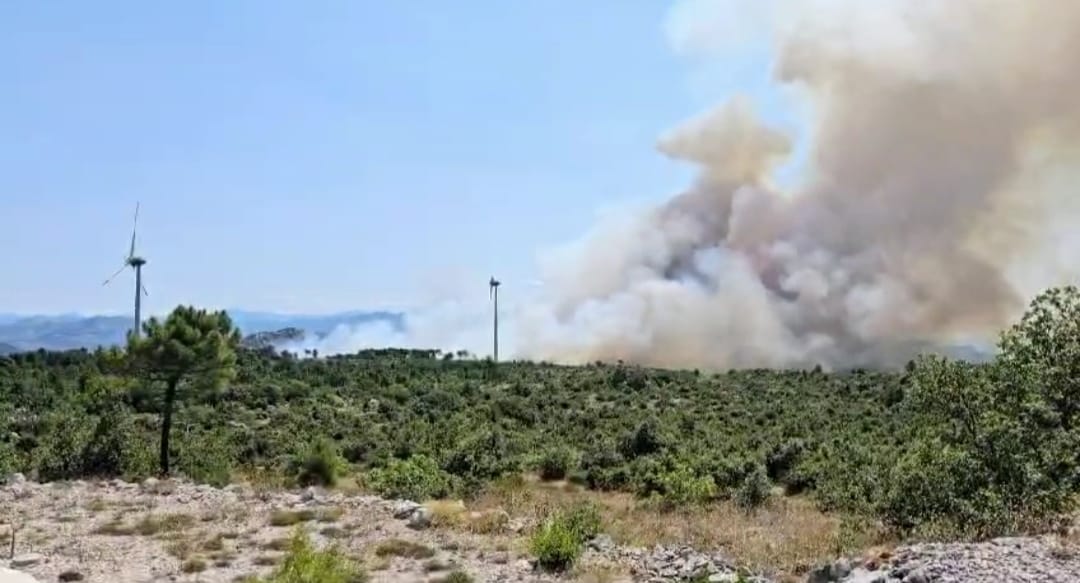 požar, pelješac, hrvaška