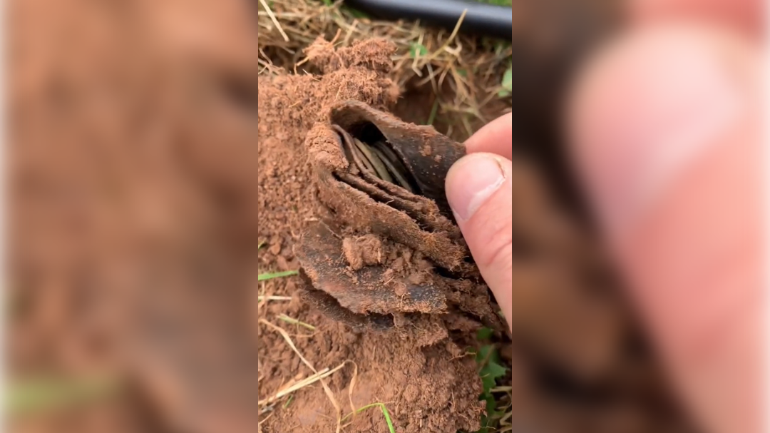 high-res-image - 2024-07-26T121211.560