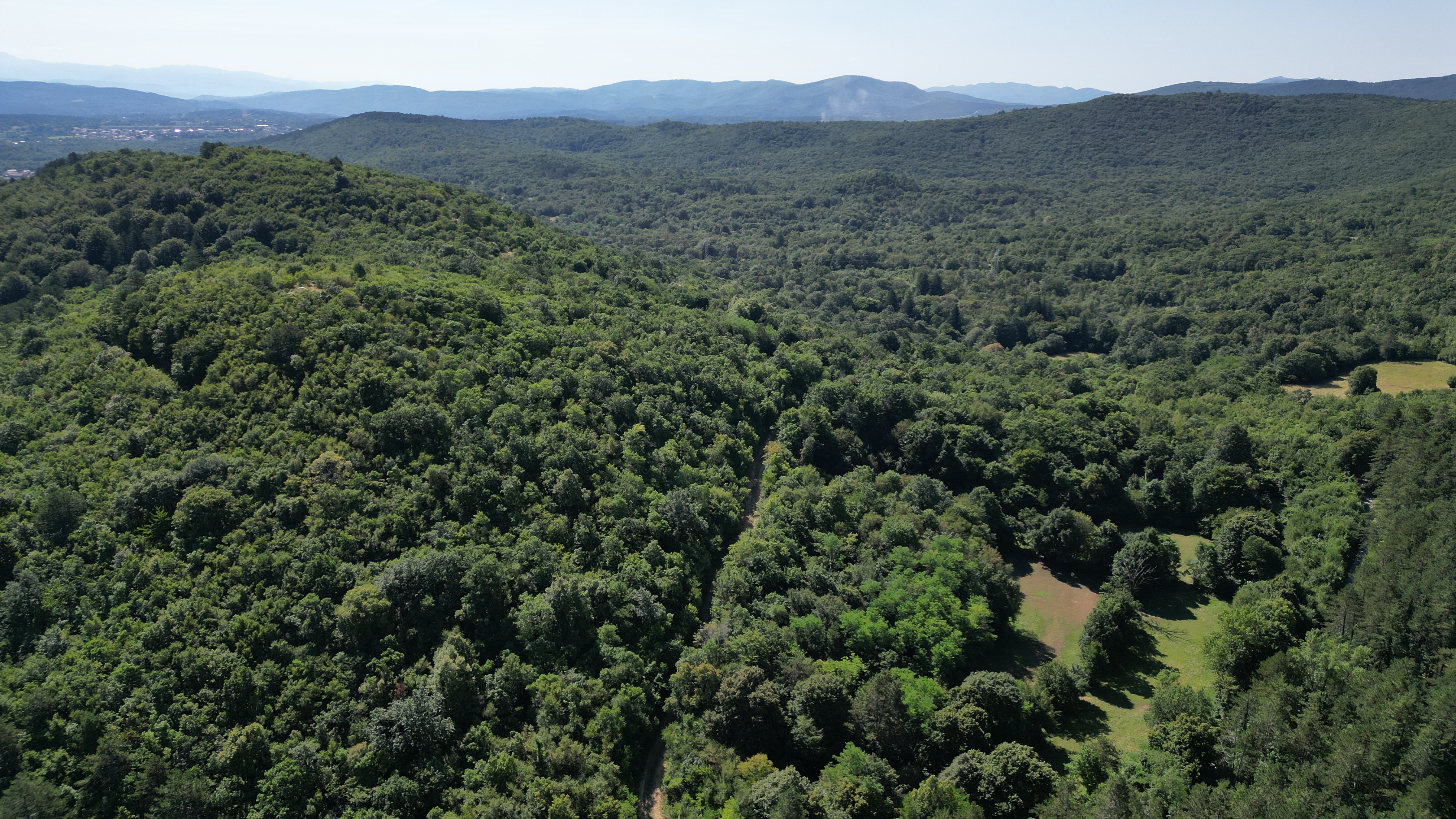 Požarne preseke pri Povirju na Krasu (Foto: Denis Sadiković/N1)