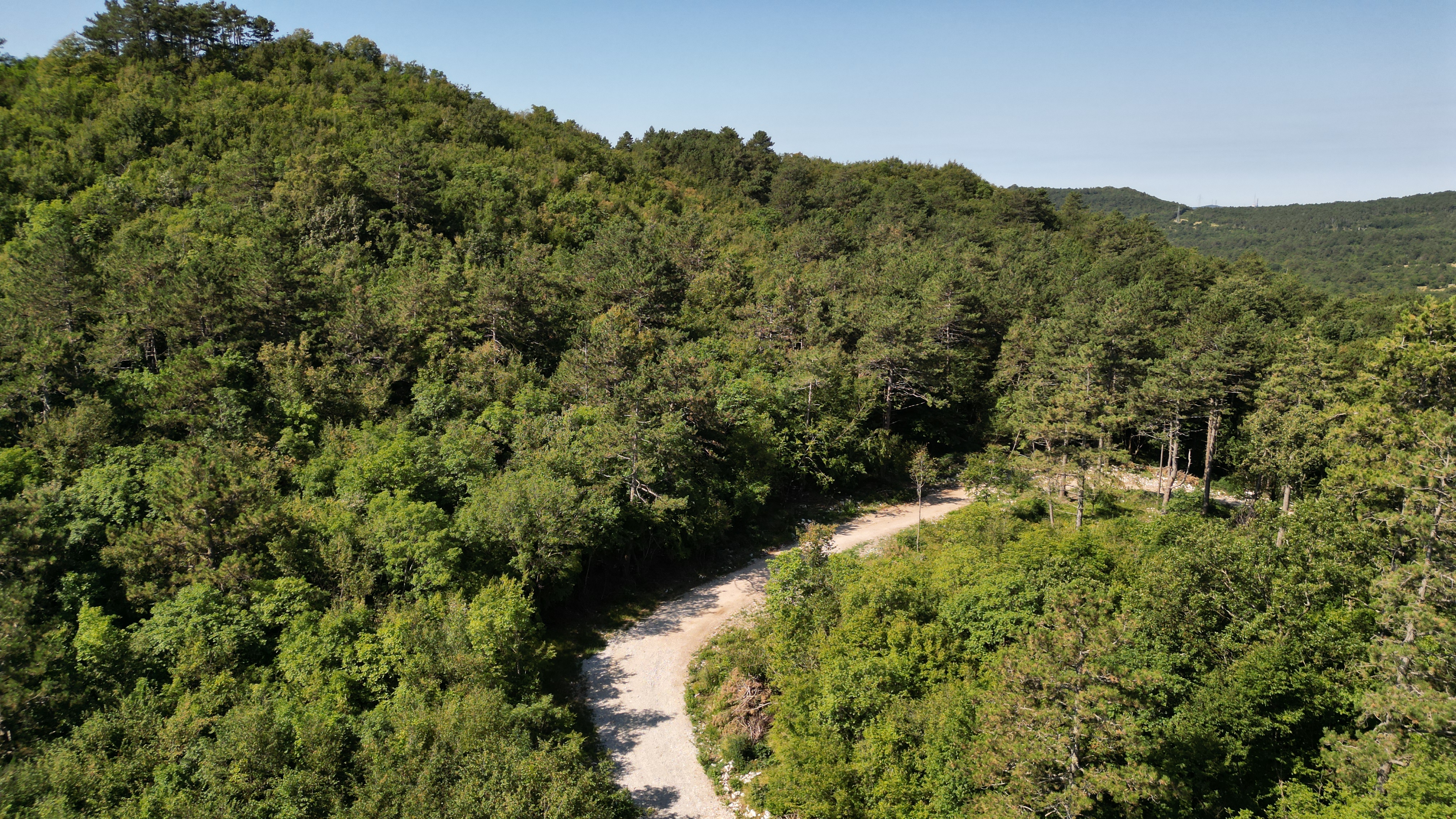 Požarne preseke pri Povirju na Krasu (Foto: Denis Sadiković/N1)